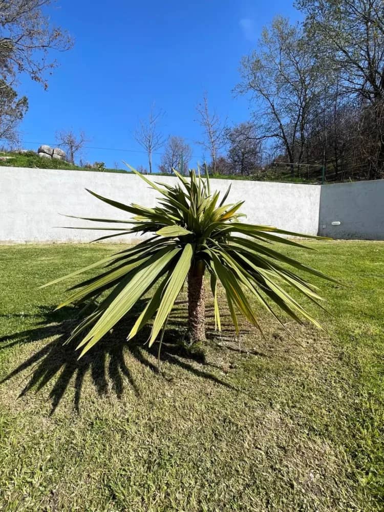 Quinta Cerqueira — fotografia 48 de 78